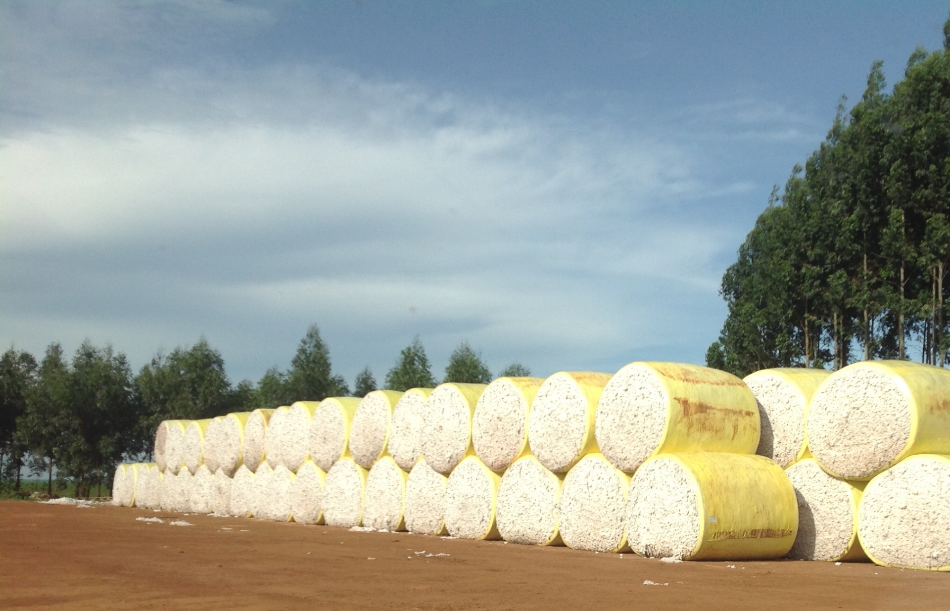 Stacked cotton bales ready for transport