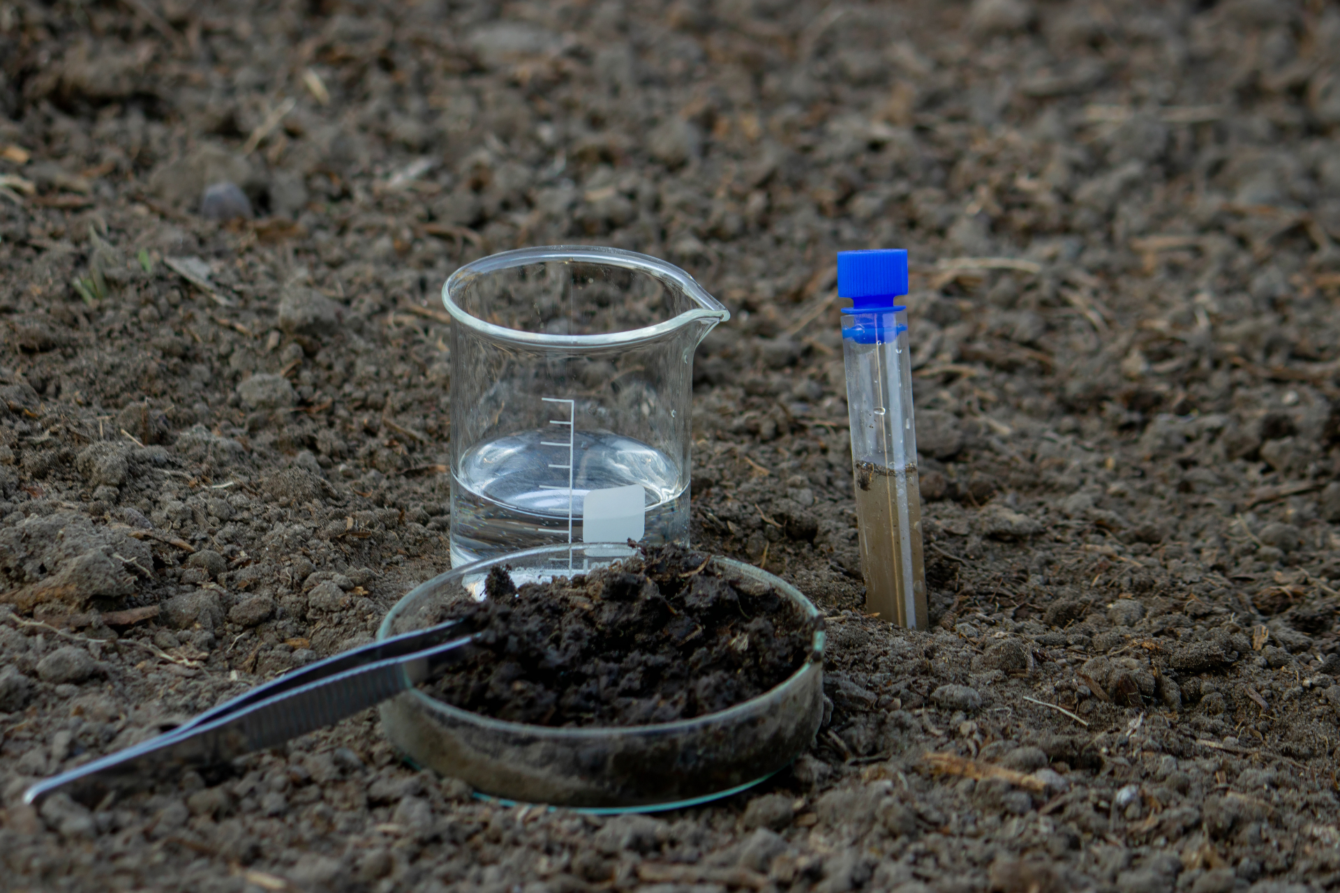 Soil sample analysis in the field